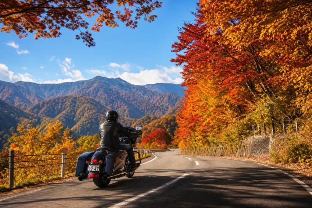 紅葉シーズンの絶景ロードと見頃の時期
